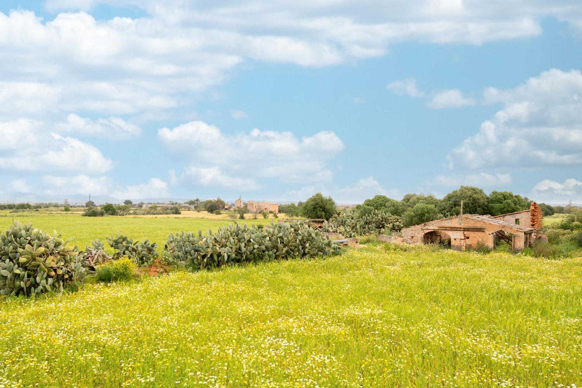 Sant Blai Nou Holiday home *
